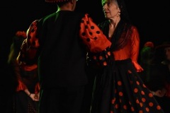 GALA13